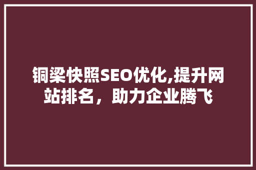 铜梁快照SEO优化,提升网站排名，助力企业腾飞