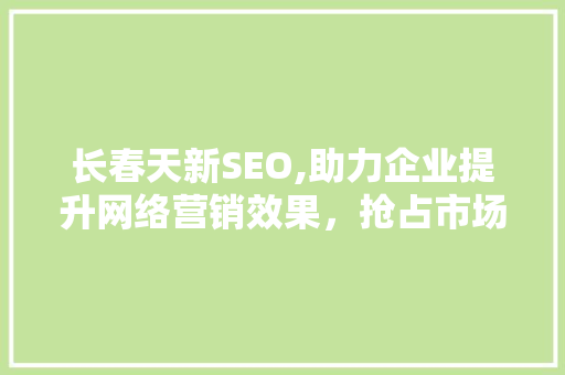 长春天新SEO,助力企业提升网络营销效果，抢占市场先机