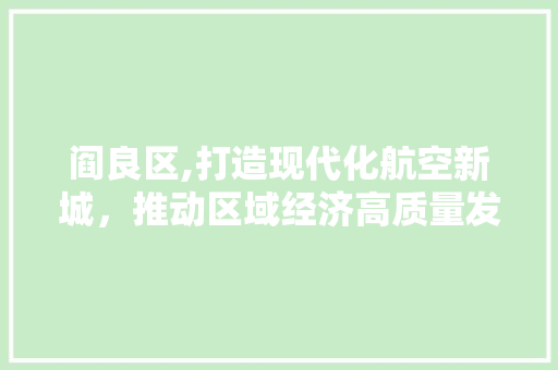 阎良区,打造现代化航空新城，推动区域经济高质量发展