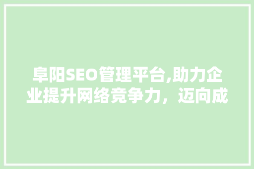 阜阳SEO管理平台,助力企业提升网络竞争力，迈向成功之路