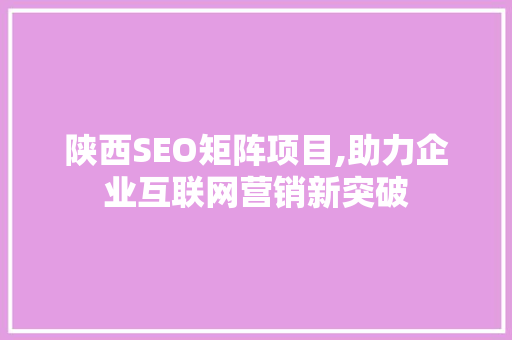 陕西SEO矩阵项目,助力企业互联网营销新突破