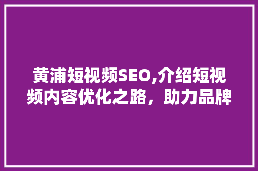 黄浦短视频SEO,介绍短视频内容优化之路，助力品牌脱颖而出
