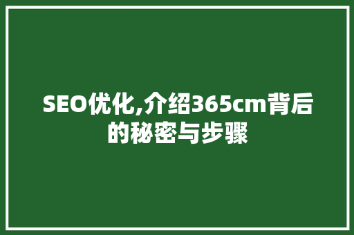 SEO优化,介绍365cm背后的秘密与步骤