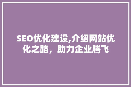 SEO优化建设,介绍网站优化之路，助力企业腾飞