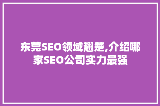 东莞SEO领域翘楚,介绍哪家SEO公司实力最强