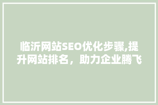 临沂网站SEO优化步骤,提升网站排名，助力企业腾飞