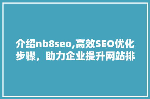 介绍nb8seo,高效SEO优化步骤，助力企业提升网站排名