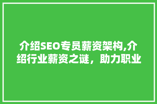 介绍SEO专员薪资架构,介绍行业薪资之谜，助力职业发展