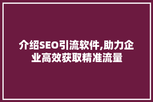 介绍SEO引流软件,助力企业高效获取精准流量