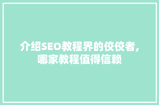 介绍SEO教程界的佼佼者,哪家教程值得信赖