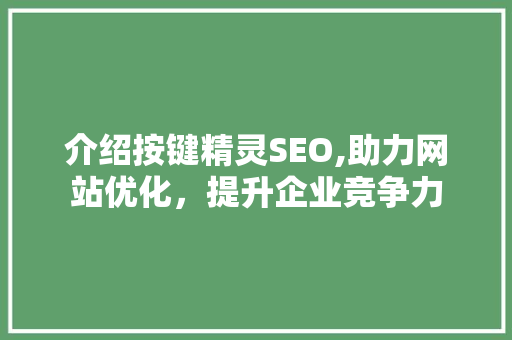 介绍按键精灵SEO,助力网站优化，提升企业竞争力