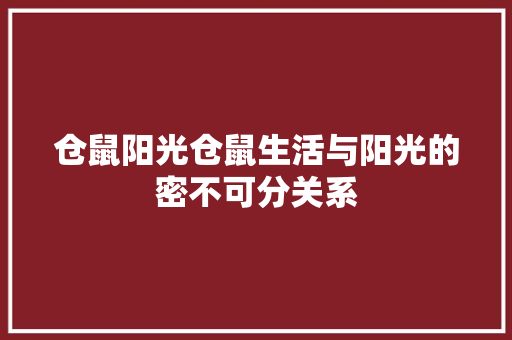 仓鼠阳光仓鼠生活与阳光的密不可分关系