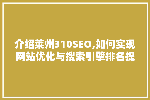 介绍莱州310SEO,如何实现网站优化与搜索引擎排名提升