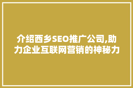 介绍西乡SEO推广公司,助力企业互联网营销的神秘力量