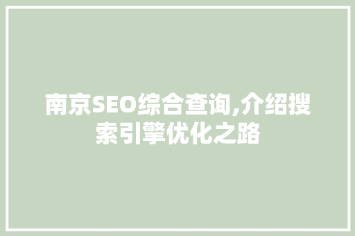 南京SEO综合查询,介绍搜索引擎优化之路