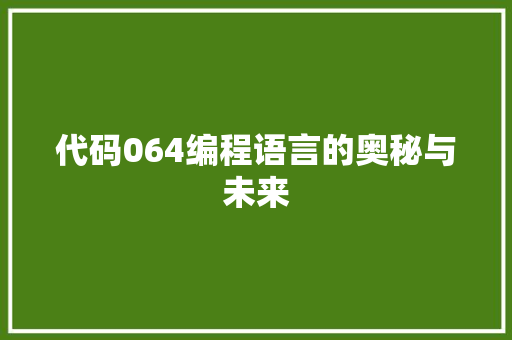 代码064编程语言的奥秘与未来