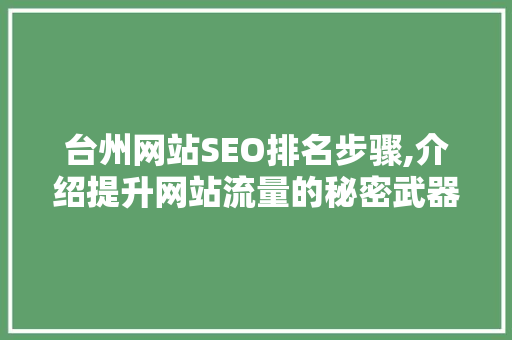 台州网站SEO排名步骤,介绍提升网站流量的秘密武器