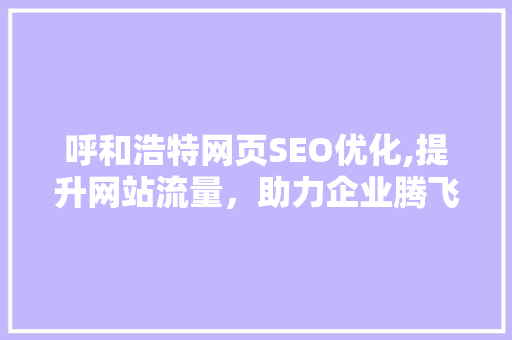 呼和浩特网页SEO优化,提升网站流量，助力企业腾飞