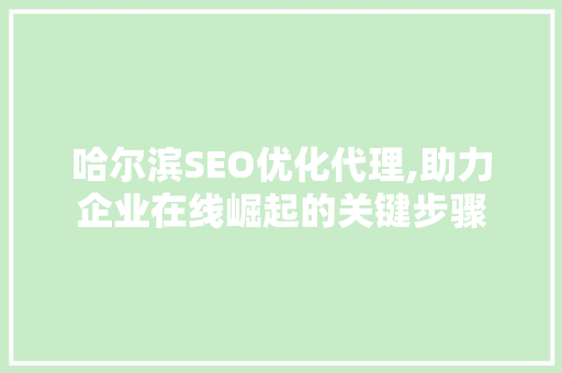 哈尔滨SEO优化代理,助力企业在线崛起的关键步骤