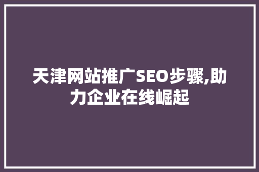 天津网站推广SEO步骤,助力企业在线崛起