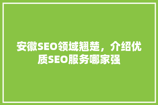 安徽SEO领域翘楚，介绍优质SEO服务哪家强  第1张