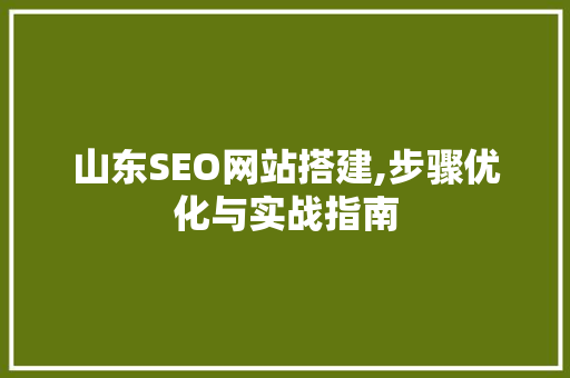 山东SEO网站搭建,步骤优化与实战指南