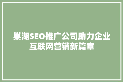 巢湖SEO推广公司助力企业互联网营销新篇章