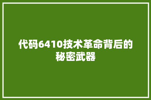 代码6410技术革命背后的秘密武器