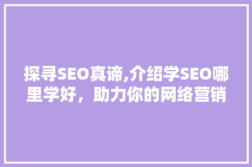 探寻SEO真谛,介绍学SEO哪里学好，助力你的网络营销之旅