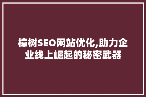 樟树SEO网站优化,助力企业线上崛起的秘密武器