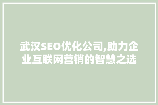 武汉SEO优化公司,助力企业互联网营销的智慧之选