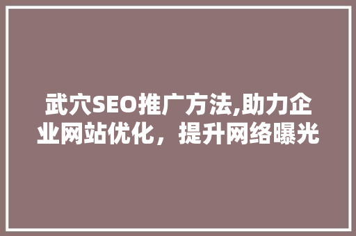 武穴SEO推广方法,助力企业网站优化，提升网络曝光度