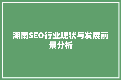 湖南SEO行业现状与发展前景分析