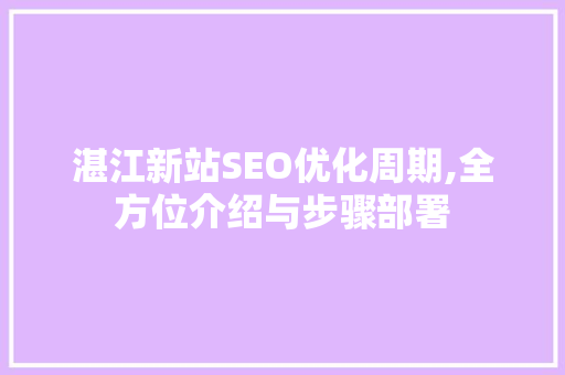 湛江新站SEO优化周期,全方位介绍与步骤部署