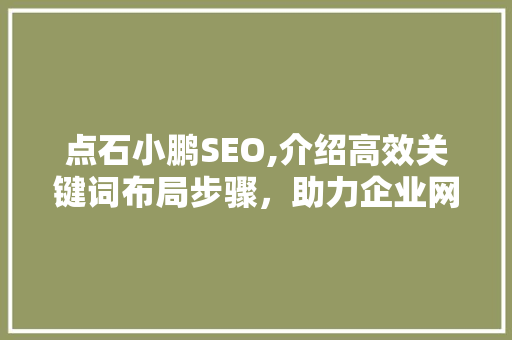 点石小鹏SEO,介绍高效关键词布局步骤，助力企业网站优化