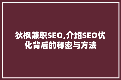 狄枫兼职SEO,介绍SEO优化背后的秘密与方法