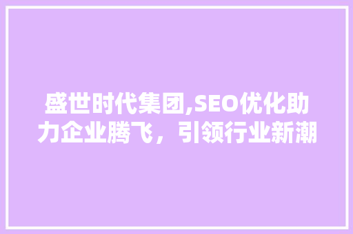 盛世时代集团,SEO优化助力企业腾飞，引领行业新潮流