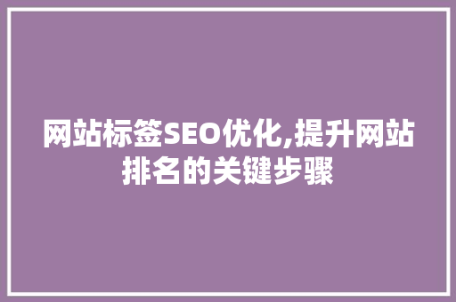 网站标签SEO优化,提升网站排名的关键步骤