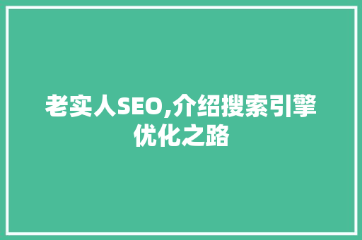 老实人SEO,介绍搜索引擎优化之路