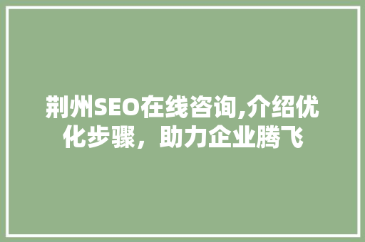 荆州SEO在线咨询,介绍优化步骤，助力企业腾飞