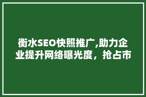 衡水SEO快照推广,助力企业提升网络曝光度，抢占市场先机