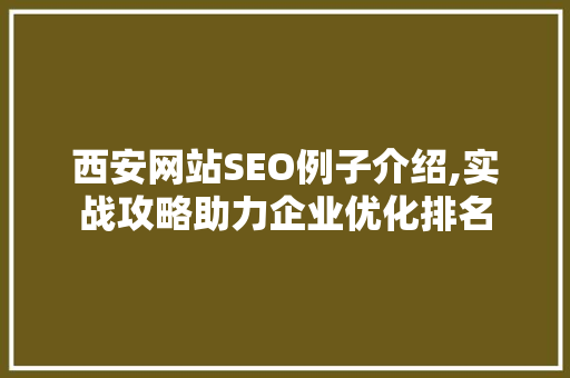 西安网站SEO例子介绍,实战攻略助力企业优化排名