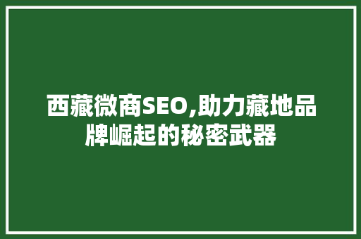 西藏微商SEO,助力藏地品牌崛起的秘密武器