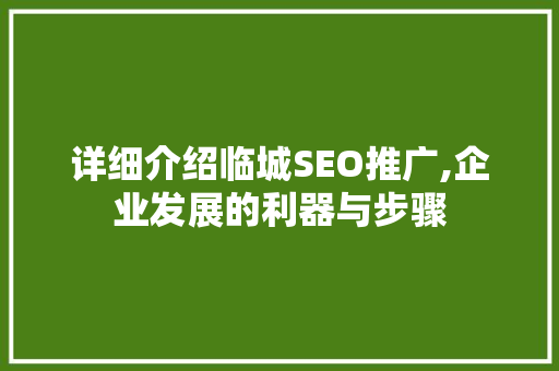 详细介绍临城SEO推广,企业发展的利器与步骤