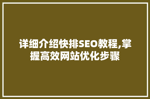 详细介绍快排SEO教程,掌握高效网站优化步骤