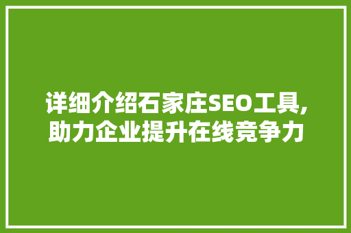 详细介绍石家庄SEO工具,助力企业提升在线竞争力