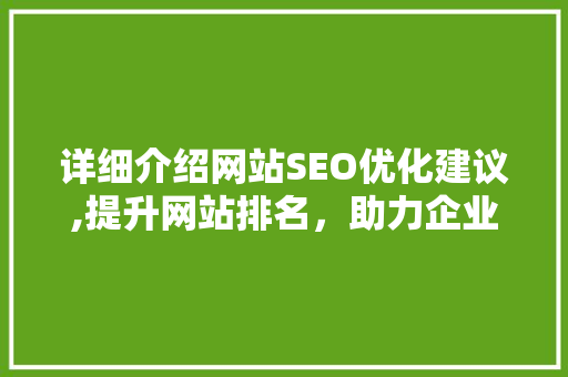 详细介绍网站SEO优化建议,提升网站排名，助力企业在线发展