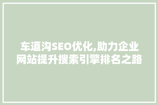 车道沟SEO优化,助力企业网站提升搜索引擎排名之路