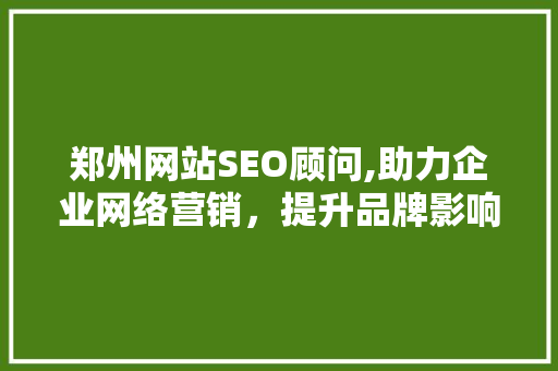 郑州网站SEO顾问,助力企业网络营销，提升品牌影响力
