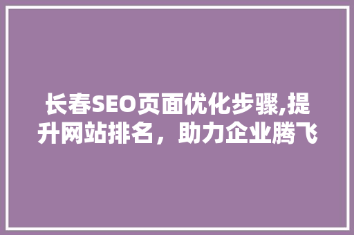 长春SEO页面优化步骤,提升网站排名，助力企业腾飞